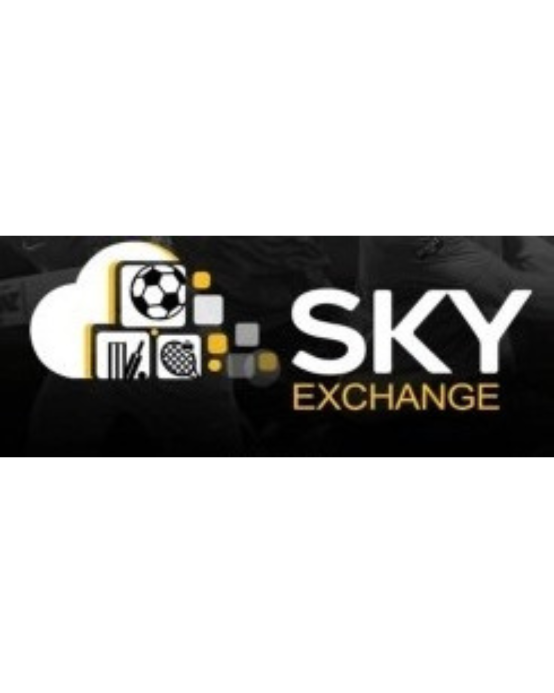 SKY EXCHANGE